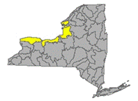 Map of NYS identifying the Lake Ontario and Minor Tributaires Watershed