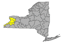 Map of NYS identifying the Niagara River/Lake Erie Watershed