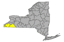 Map of NYS identifying the Allegheny Watershed