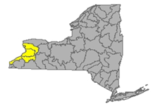 Map of NYS identifying the Niagara River/Lake Erie Watershed