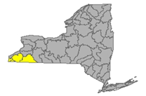 Map of NYS identifying the Allegheny Watershed